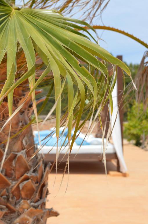 The swimming pool at or close to Es Pas Formentera Agroturismo