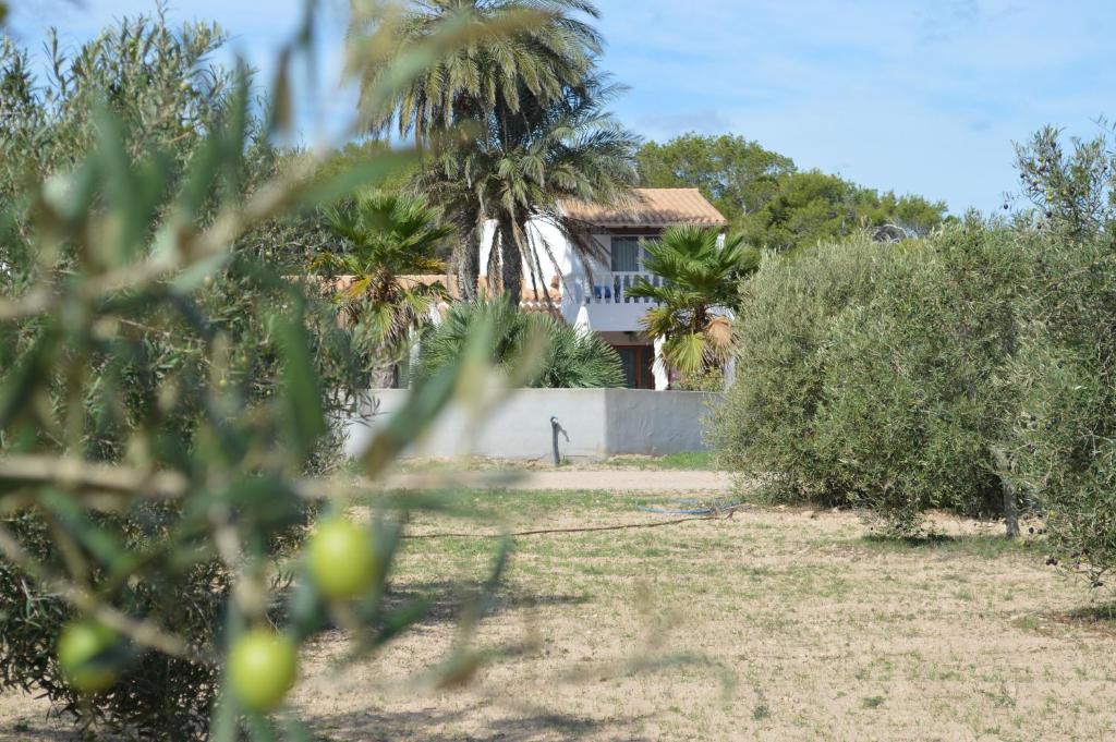 A garden outside Es Pas Formentera Agroturismo