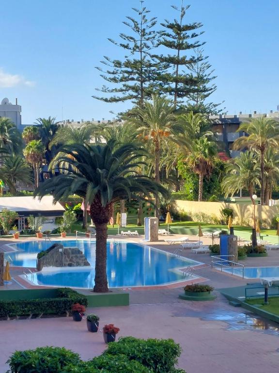 Bazén v ubytování PLAYA DEL INGLES -2 balcons- AGAETE PARK nebo v jeho okolí