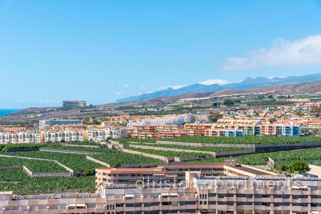 Ocean View Experience, Adeje – Precios actualizados 2023