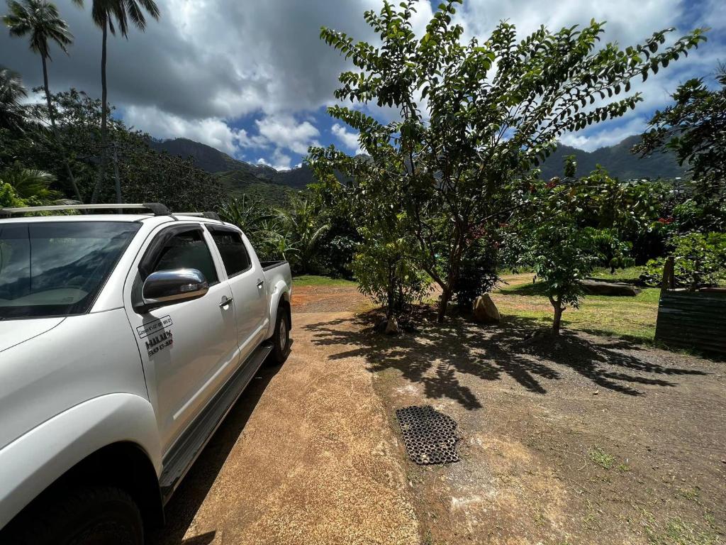 Pension Punahaa, Nuku Hiva - photo 9 - Nuku Hiva, Polynésie