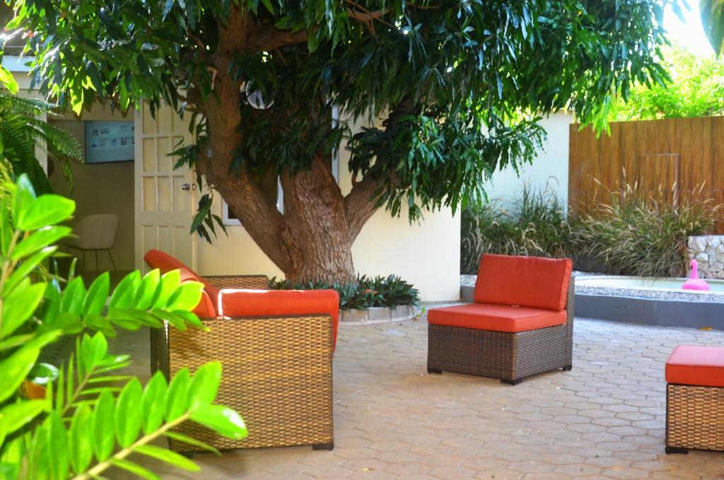 a group of chairs and a tree in a courtyard at Homey Vacation in Willemstad