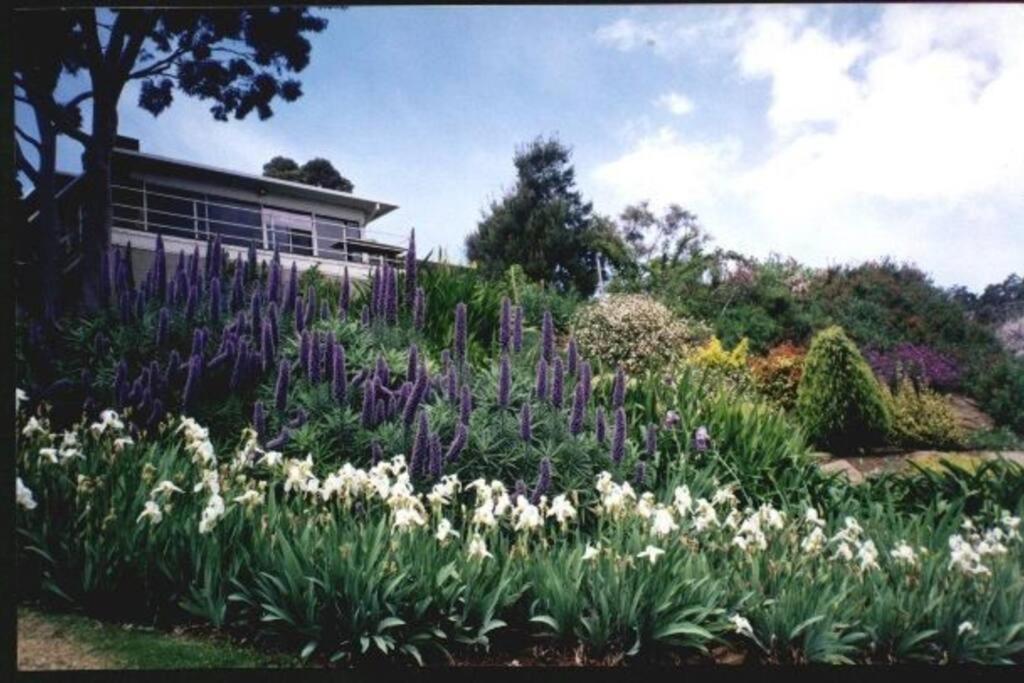 a garden with purple and white flowers in front of a house at Family Home Prestigious Suburb Panoramic Views in Glenunga