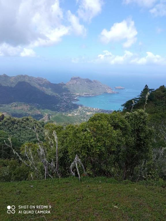 Pension Punahaa, Nuku Hiva - photo 6 - Nuku Hiva, Polynésie