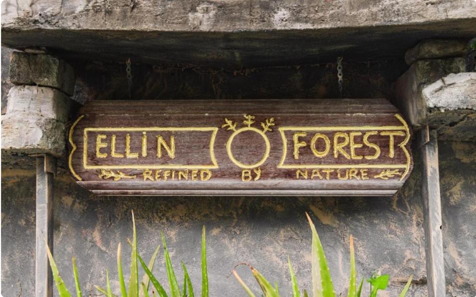 Majutusasutuses ELLIN FOREST 叶の森 olev sertifikaat, autasu, silt või muu dokument