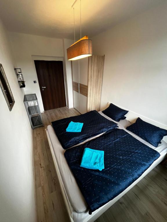 Large 3 bedroom apartment with city skyline view - Three-Bedroom Apartment