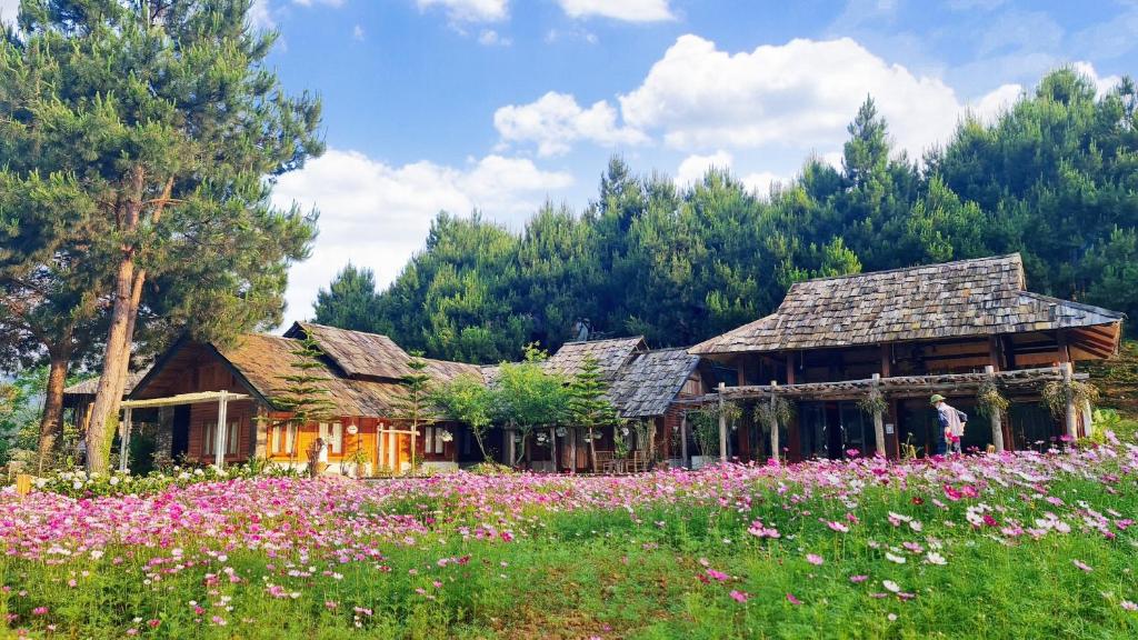 The Nordic Village - Evergreen Retreat, Mộc Châu (giá cập nhật 2025)