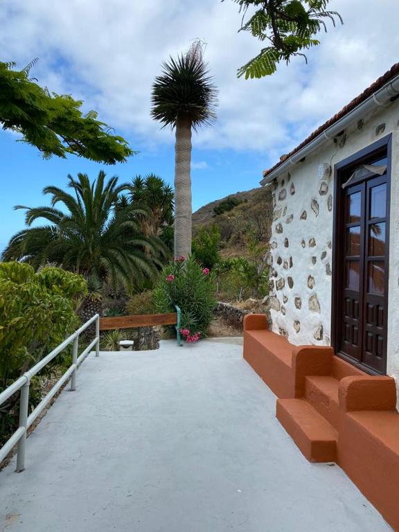 a building with a bench and a palm tree at Casa Panama in Hermigua