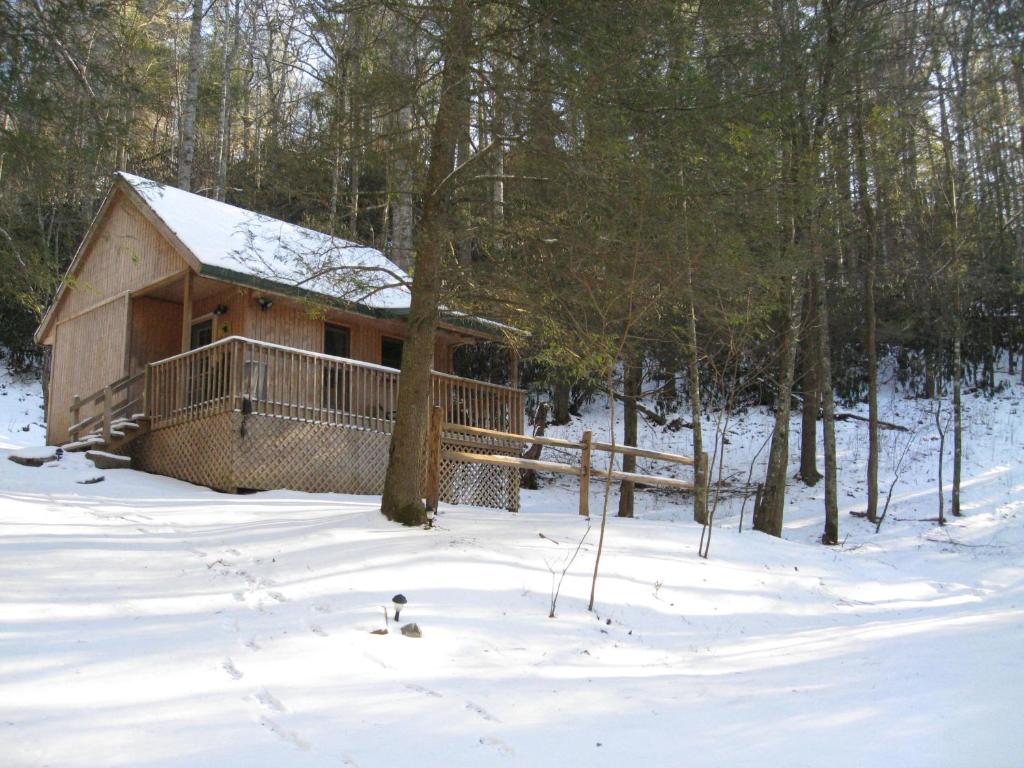 a log cabin in the woods in the snow at Valle Crucis Farm in Valle Crucis