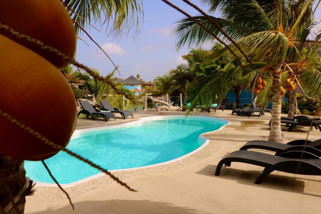a swimming pool with lounge chairs and palm trees at Marina view apartments in Kralendijk