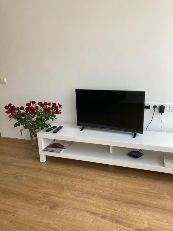 telewizor z płaskim ekranem siedzący na białym centrum rozrywki w obiekcie Nameja Best view apartamenti w mieście Jēkabpils