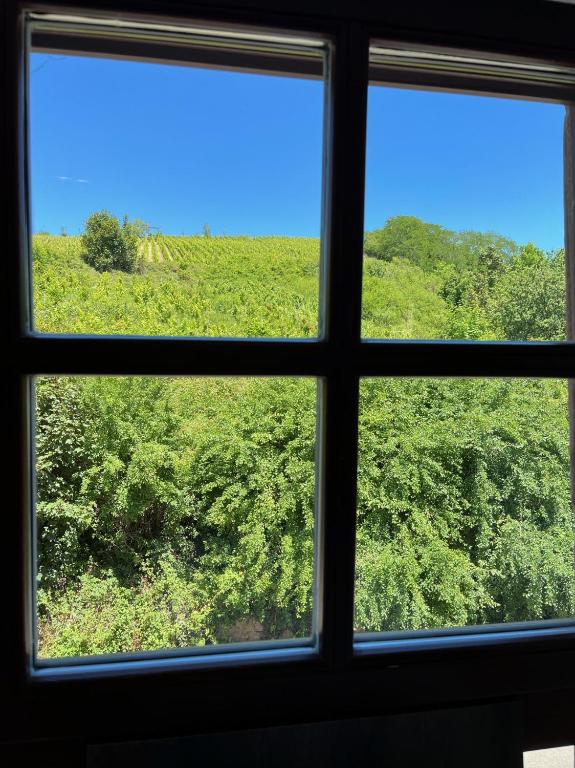 Domaine La Cour Des Nobles - Demeure, Maison et Appartements au coeur de Riquewihr – photo 16