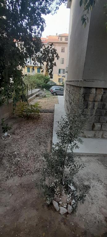 Vonkajšia záhrada v ubytovaní Apartment Sole Macula
