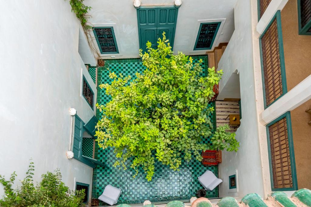 Giardino di Hotel & Spa Dar Sara