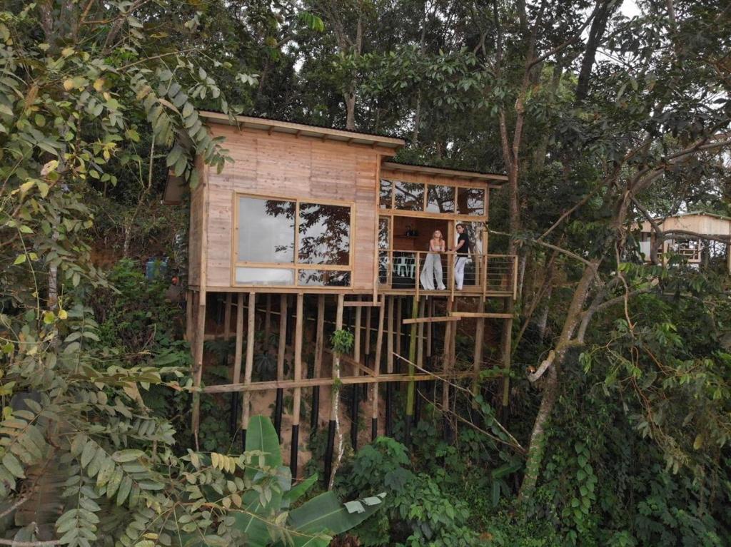 une cabane dans les arbres au milieu de la forêt dans l'établissement Luxury Tiny House - Minca, à Minca