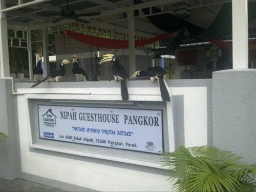 Certifikát, hodnocení, plakát nebo jiný dokument vystavený v ubytování Nipah Guesthouse Pangkor