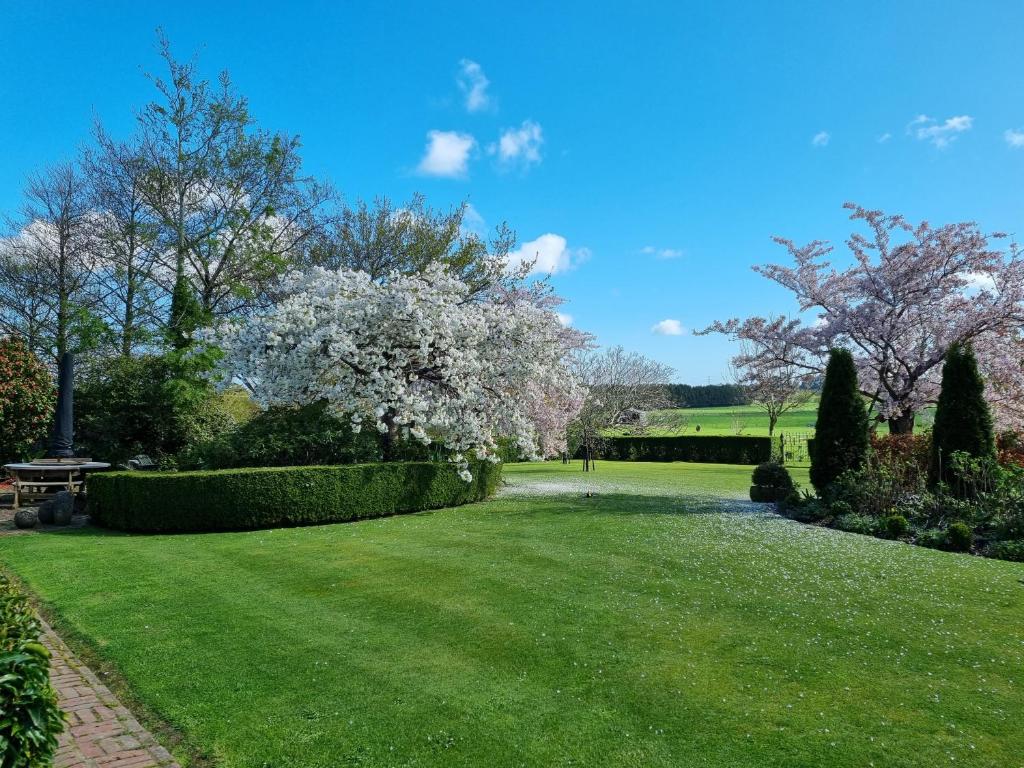 Whiteacres - Resim 31