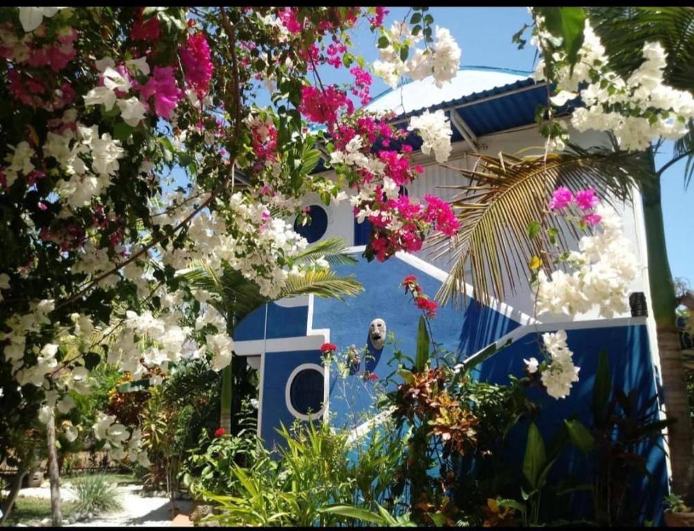 un grupo de flores frente a una casa en Casa Maiana, en Sámara