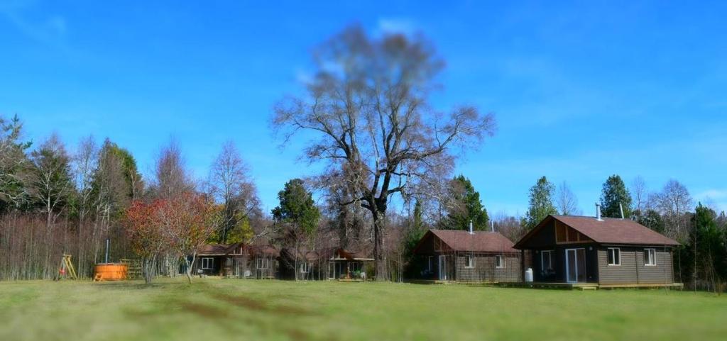 una pequeña casa en un campo con un árbol en Ecos de Lefun, en Villarrica