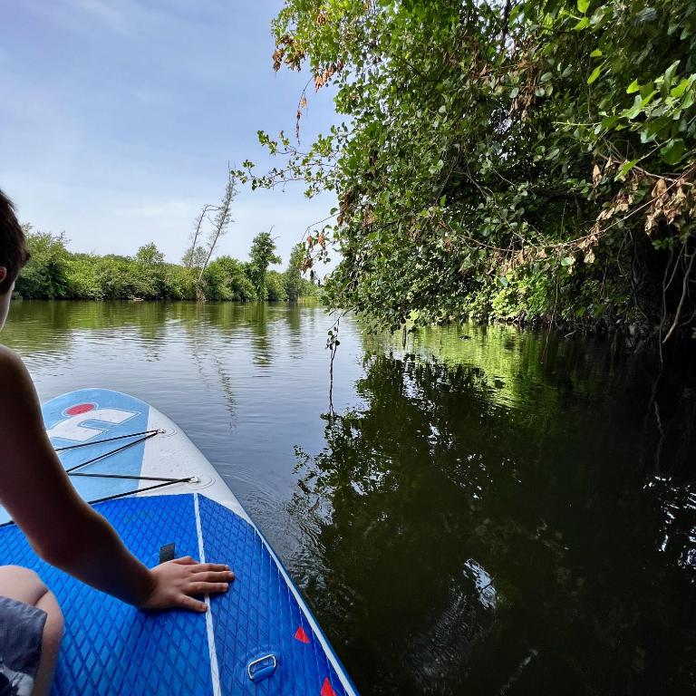 Vista de um rio perto da casa de frias