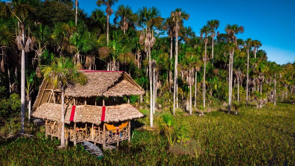 una casa in un campo con palme di PAMPA HERMOSA LAKE RESORT a Puerto Maldonado