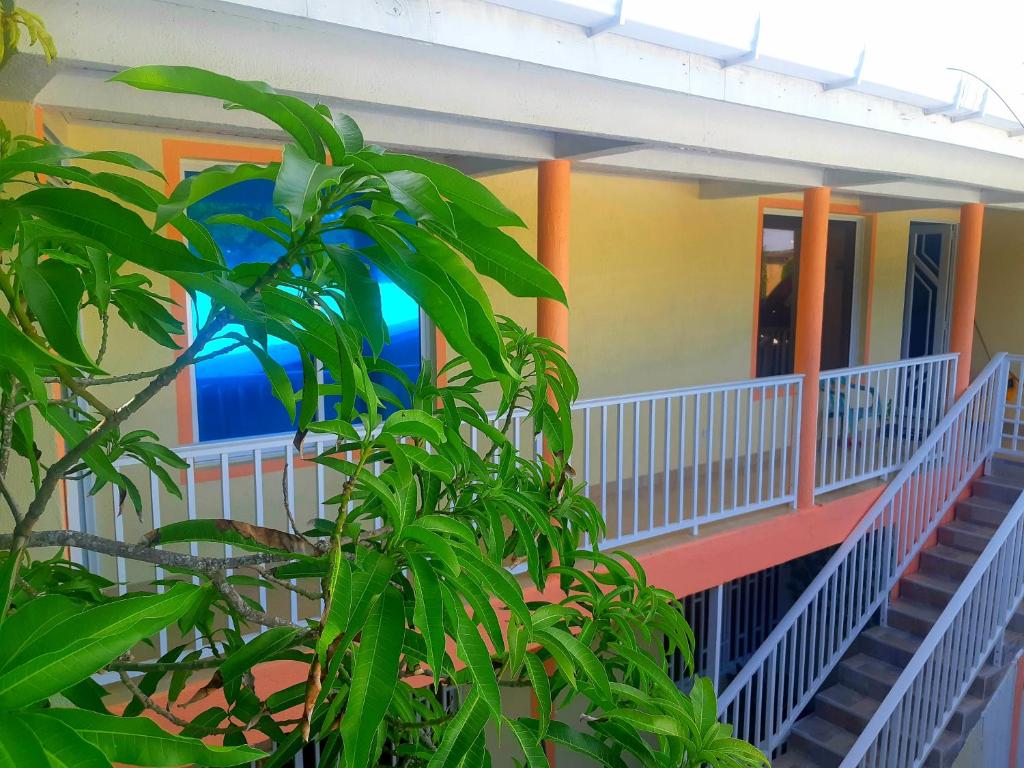 Fotografie z fotogalerie ubytování Posada Mango House v destinaci San Andrés