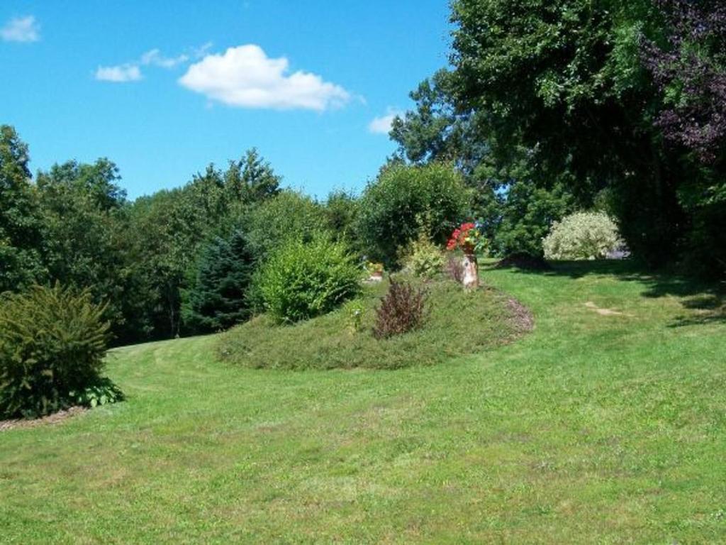 a grassy hill with flowers in a yard at Gîte Anould, 4 pièces, 6 personnes - FR-1-589-2 in Anould