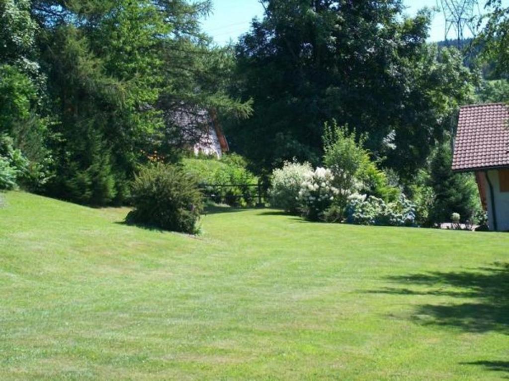 a yard with green grass and trees and a house at Gîte Anould, 4 pièces, 6 personnes - FR-1-589-2 in Anould