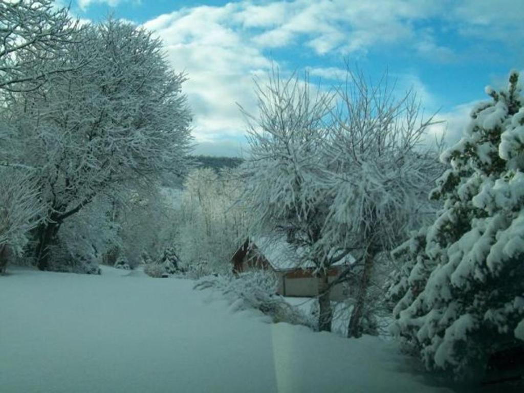 a snow covered road with trees and bushes at Gîte Anould, 4 pièces, 6 personnes - FR-1-589-2 in Anould
