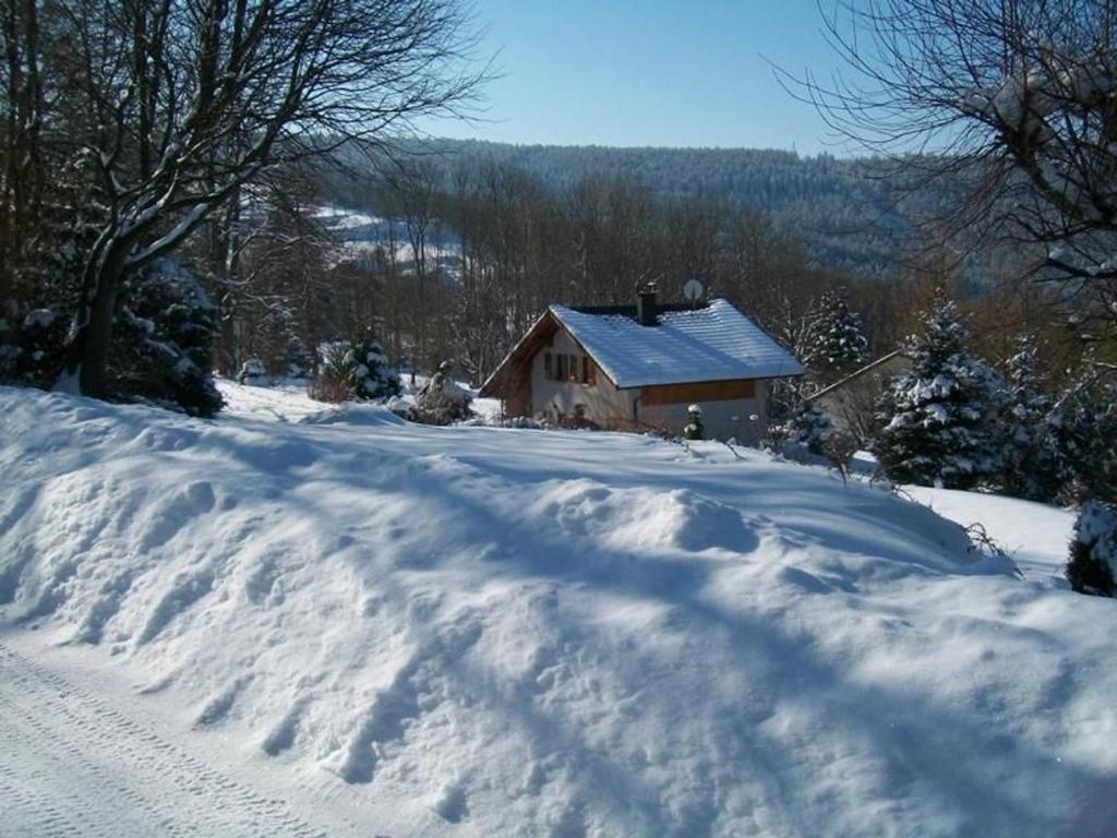 a house on a hill covered in snow at Gîte Anould, 4 pièces, 6 personnes - FR-1-589-2 in Anould