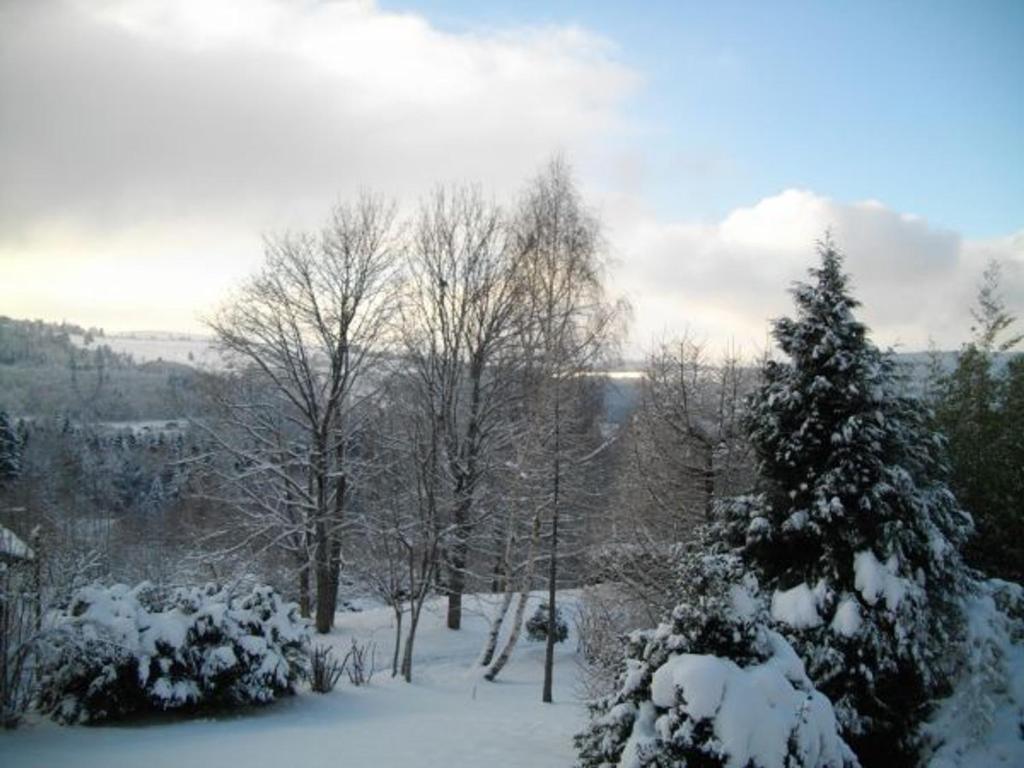 a group of trees with snow on them at Gîte Anould, 4 pièces, 6 personnes - FR-1-589-2 in Anould