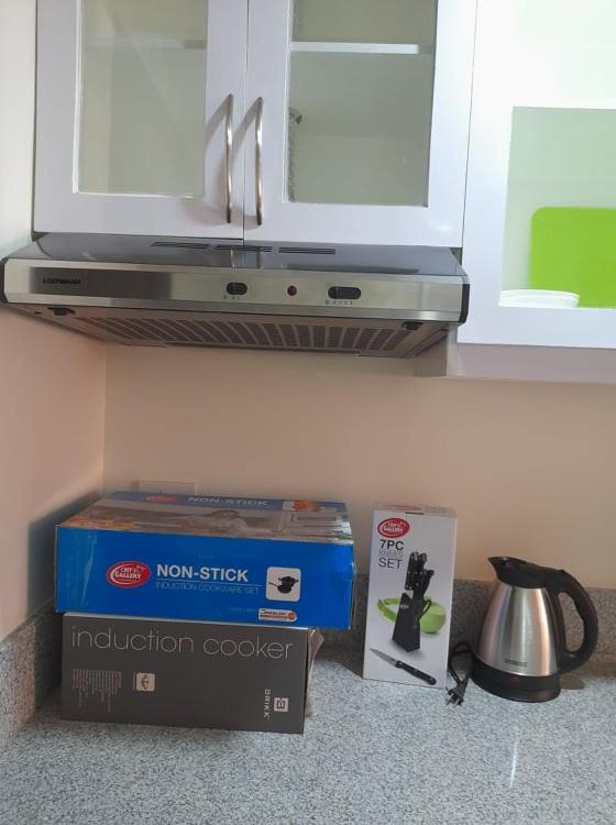 Kuchyň nebo kuchyňský kout v ubytování Stanford Suites 2 Lilian