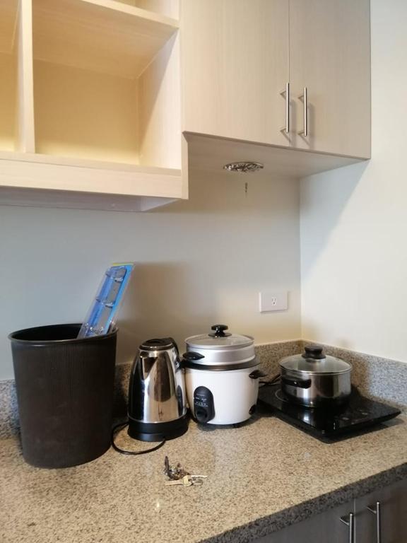 Kuchyň nebo kuchyňský kout v ubytování Stanford Suites 2 Lilian