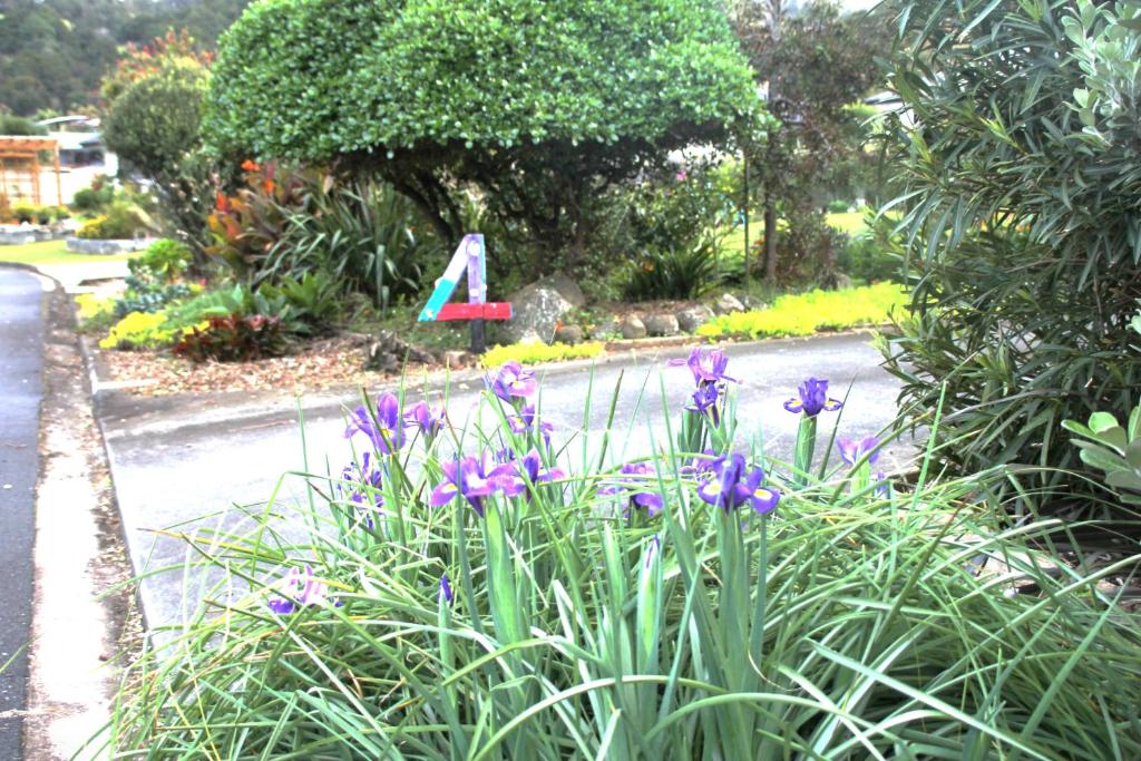een tuin met paarse bloemen aan de straatkant bij U Beauty - B & B in Whangarei