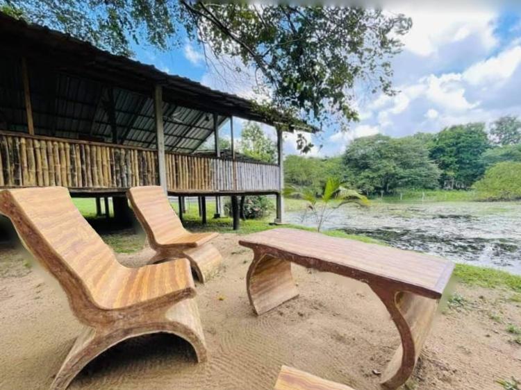 2 sillas y un banco de madera frente a un edificio en Clay Hut Village en Polonnaruwa