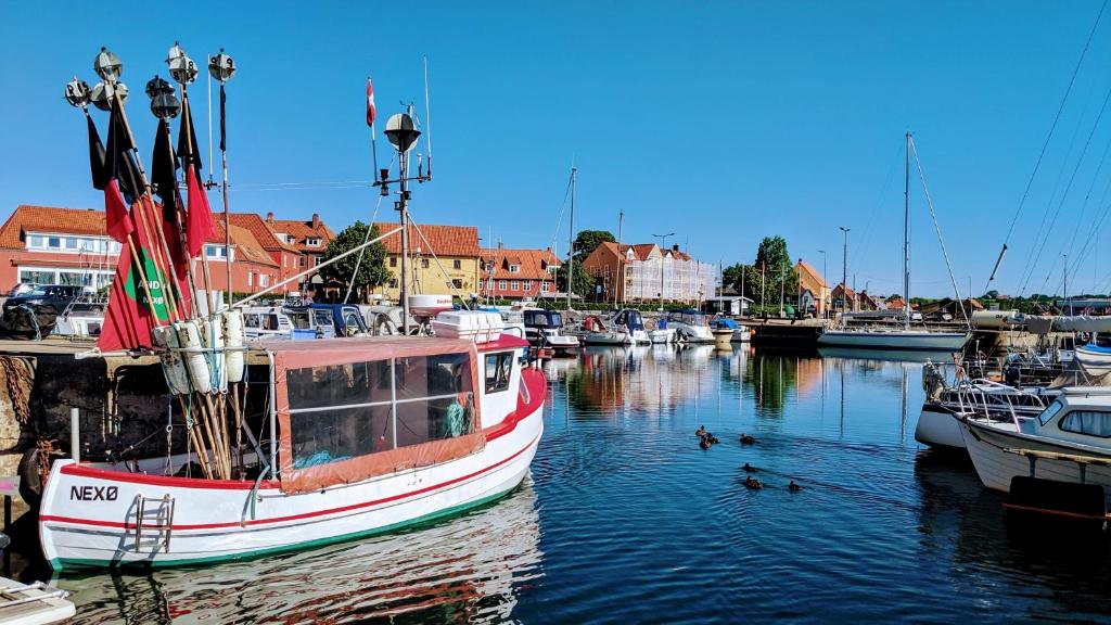 a boat docked in a marina with ducks in the water at Harbour Sleep in Neksø