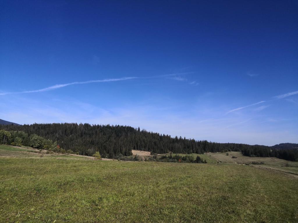 Príroda v okolí farmy