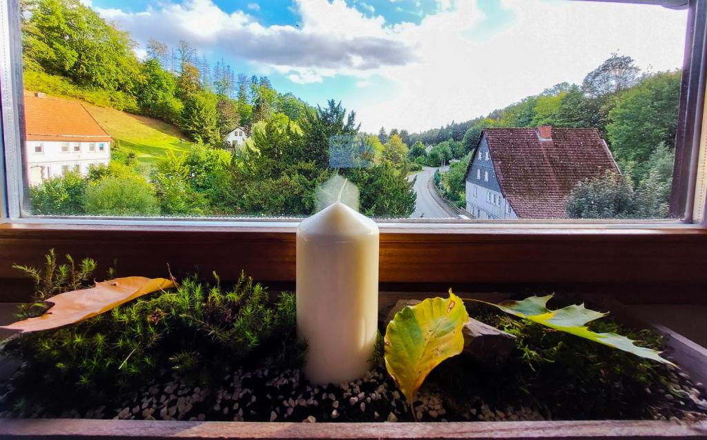 a candle in a window with a view at Gemütliche Ferienwohnung im Harz in Bad Grund