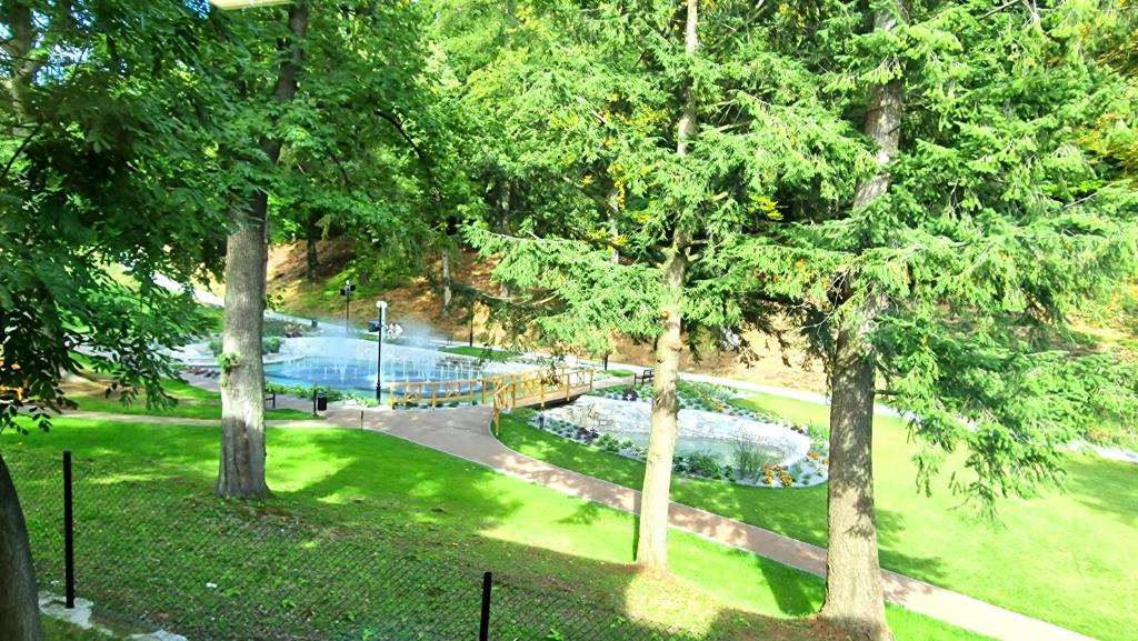 Petite Charlotta - 11