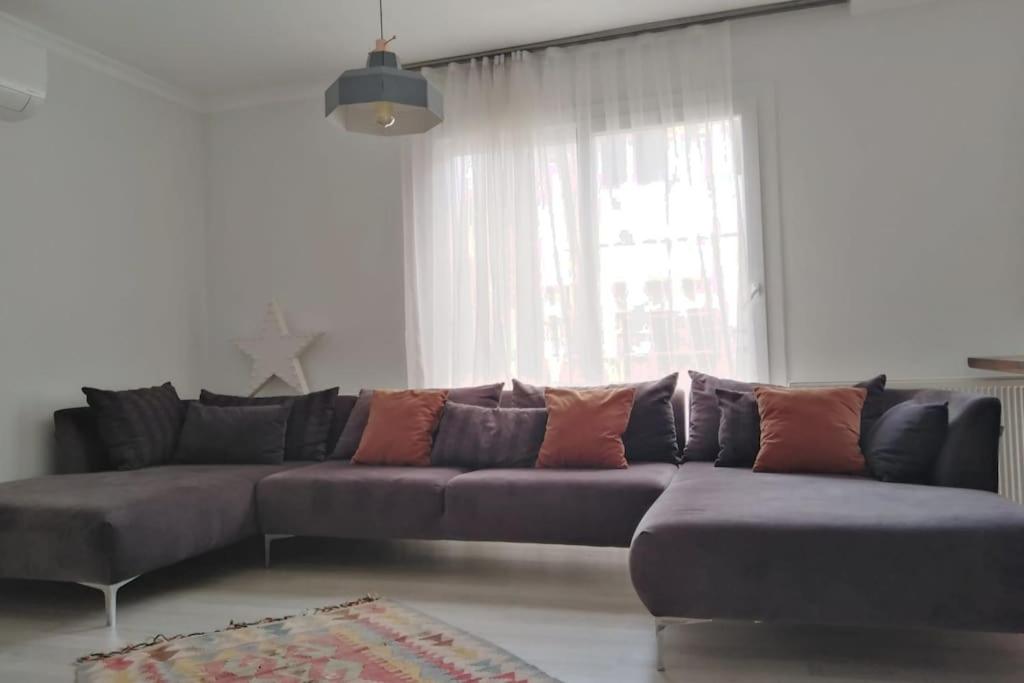 Full Restored and Renewed Fresh Flat - Housity