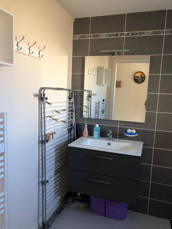 a bathroom with a sink and a mirror at Studio pour 2 personnes à Tonnay Charente in Tonnay-Charente
