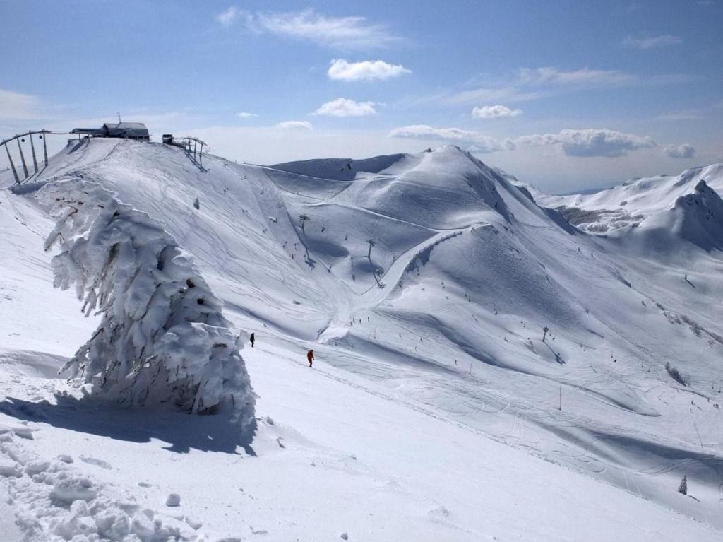 Appartamento Val di Luce v zime