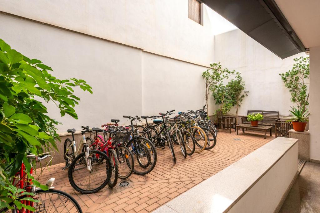Jazda na bicykli v okolí ubytovania First Floor near Macarena Church