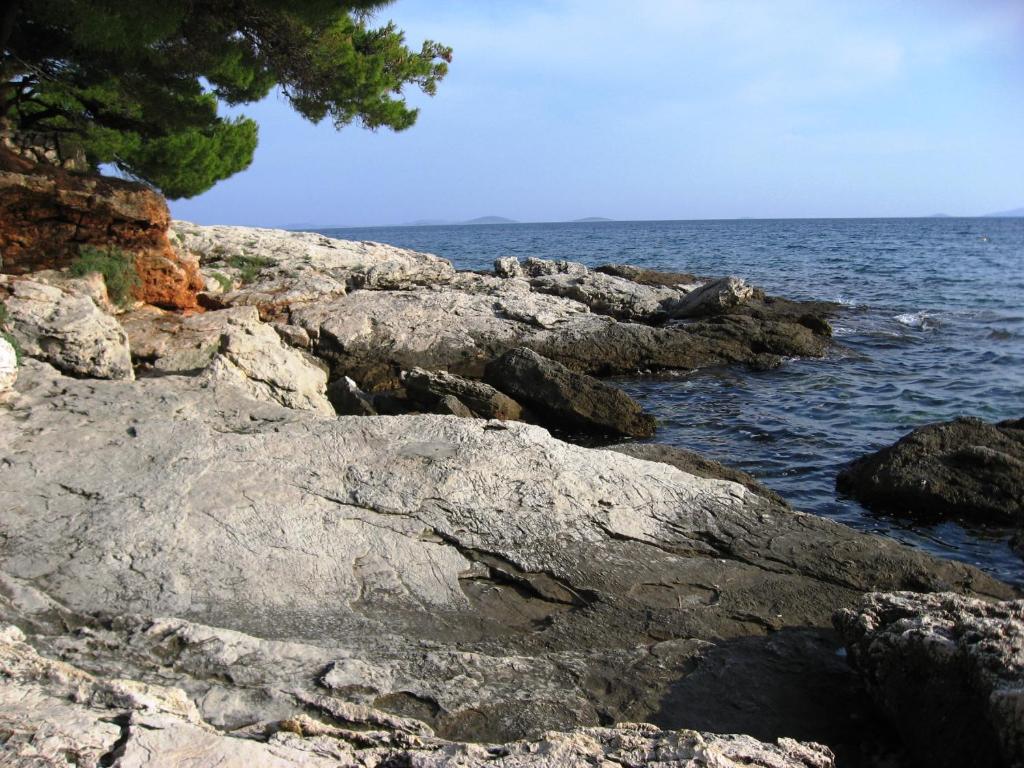 Fotografia z galérie ubytovania Apartments Janči, Murter (Croatia) v Murteri