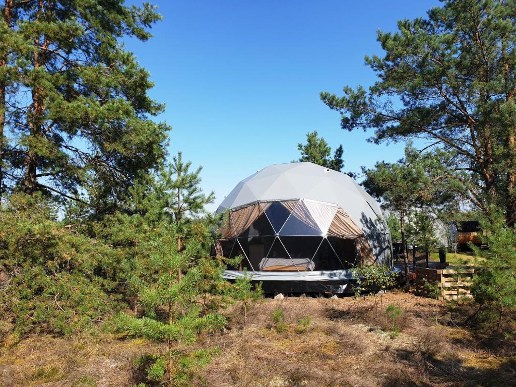 Fotografie z fotogalerie ubytování Podniebny Glamping v destinaci Borsk