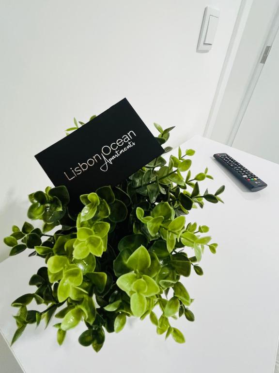 Lisbon Ocean Apartments - One-Bedroom Apartment