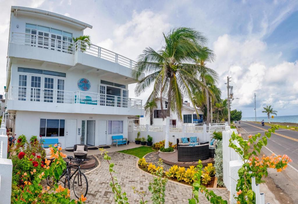 een wit huis met een palmboom en de oceaan bij By The Sea Guest House in San Andrés