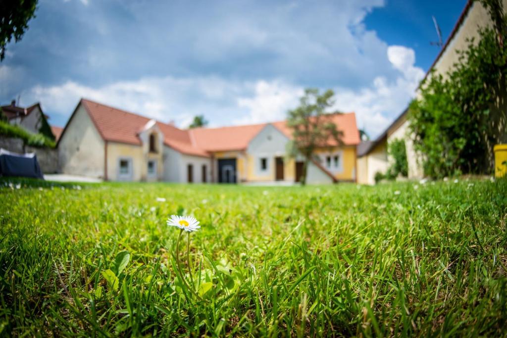 Zahrada ubytování Penzion Nežárka 59