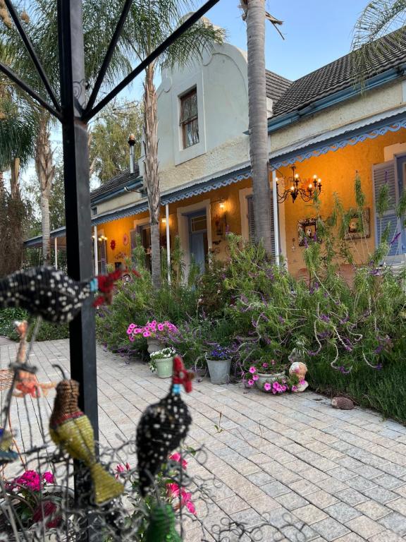 Yellow Aloe, Clanwilliam (updated prices 2026)