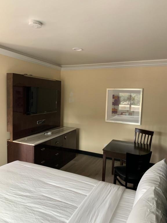 Willow Tree Inn & Suites - Standard Single Room